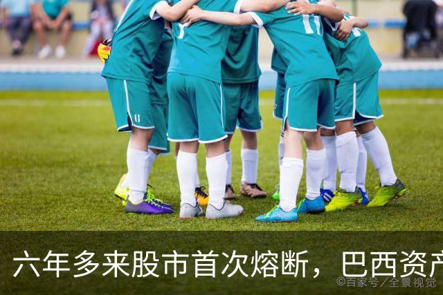 六年多来股市首次熔断，巴西资产遭全面重估